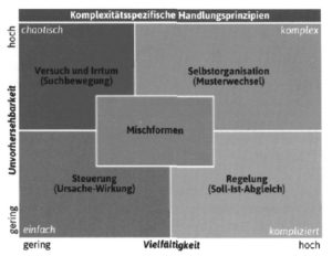 Fig. 1-3 Complexity-specific principles of action Q1 S38]